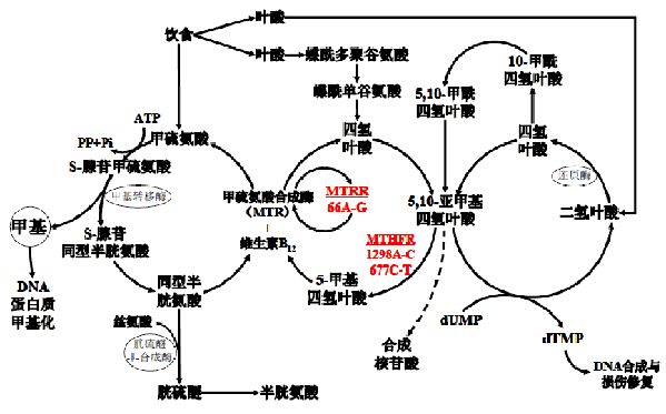 Ggpoker官网-不凡成就非凡,相信品牌的力量