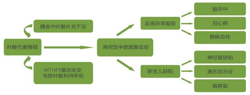 Ggpoker官网-不凡成就非凡,相信品牌的力量